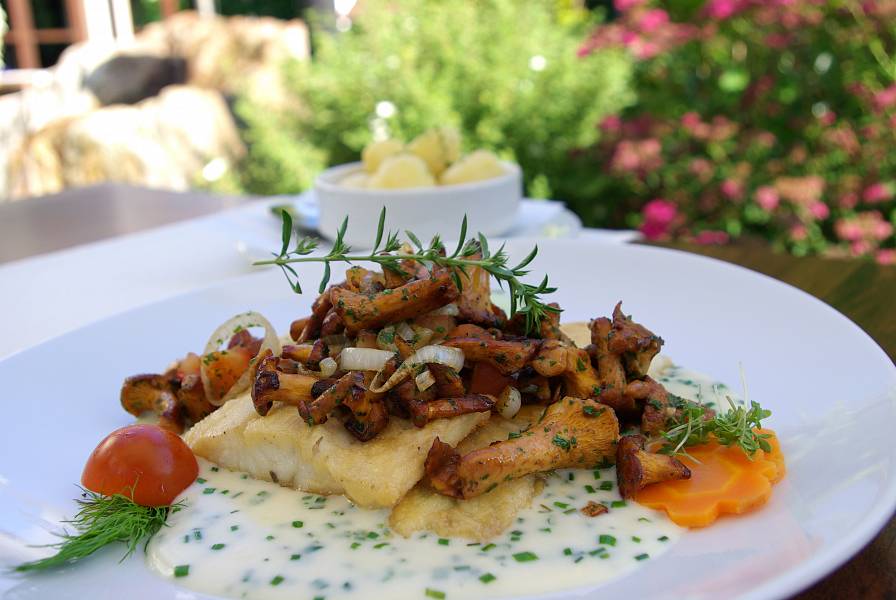 Zanderfilet mit Pfifferlingen