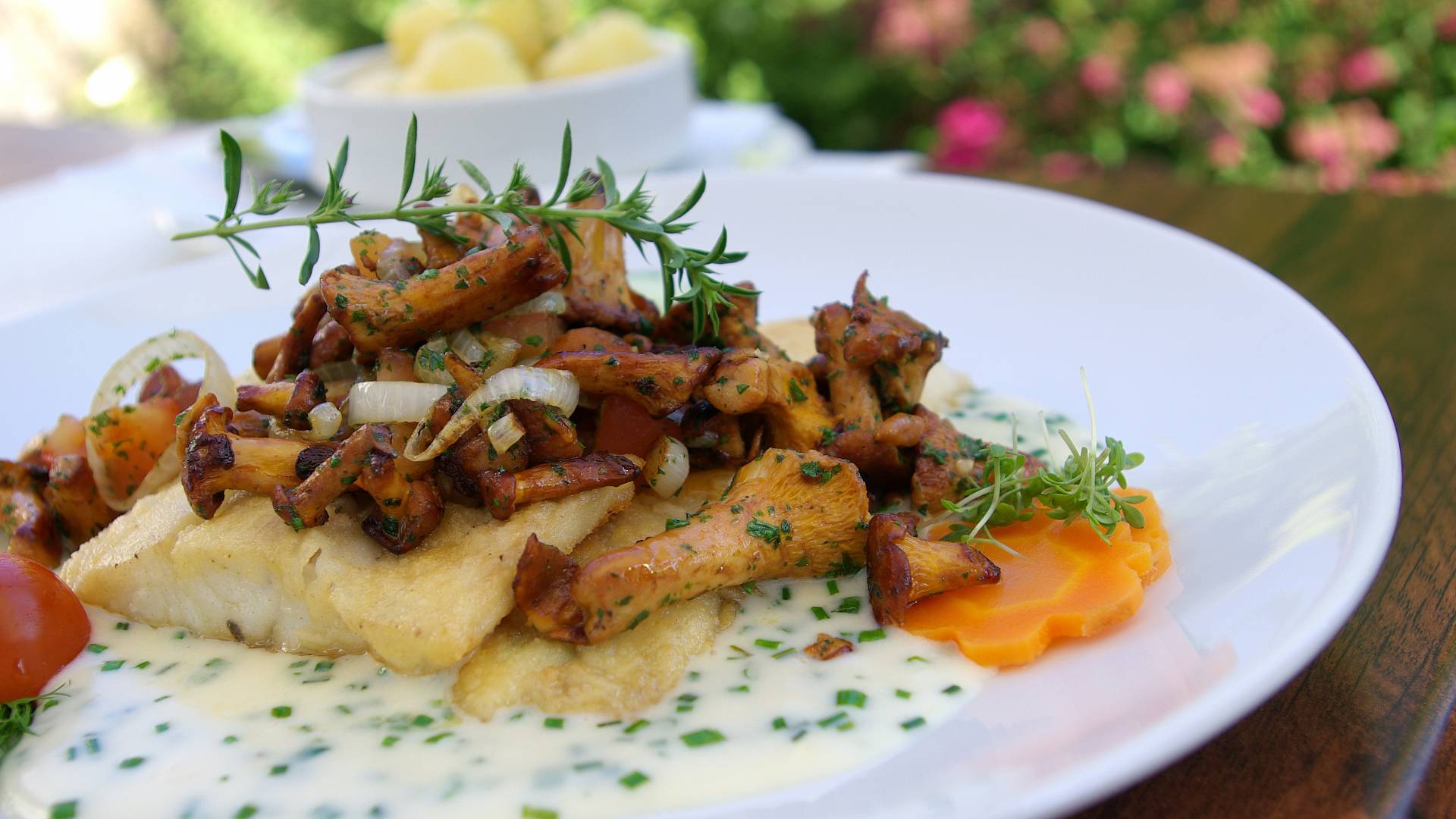 Zanderfilet mit frischen Pfifferlingen